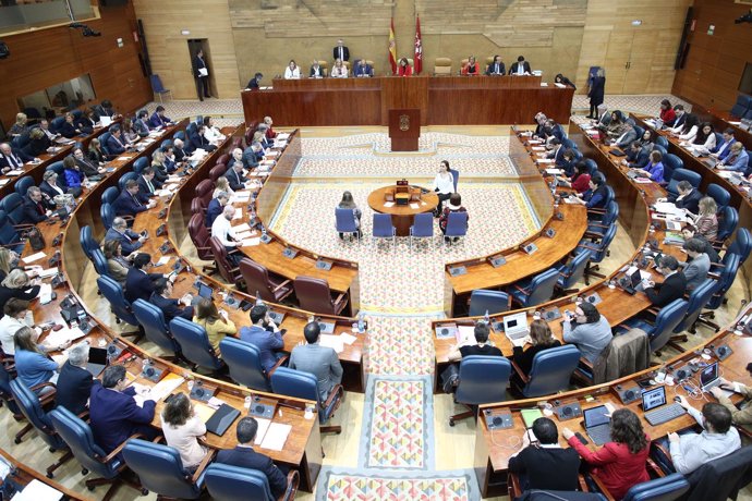 Imagen del Pleno ordinario en la Asamblea de Madrid