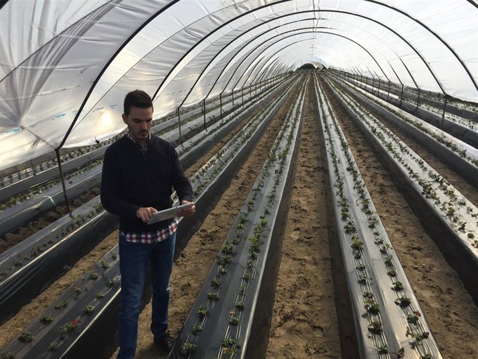 Daniel Márquez, de SensaCultivo.