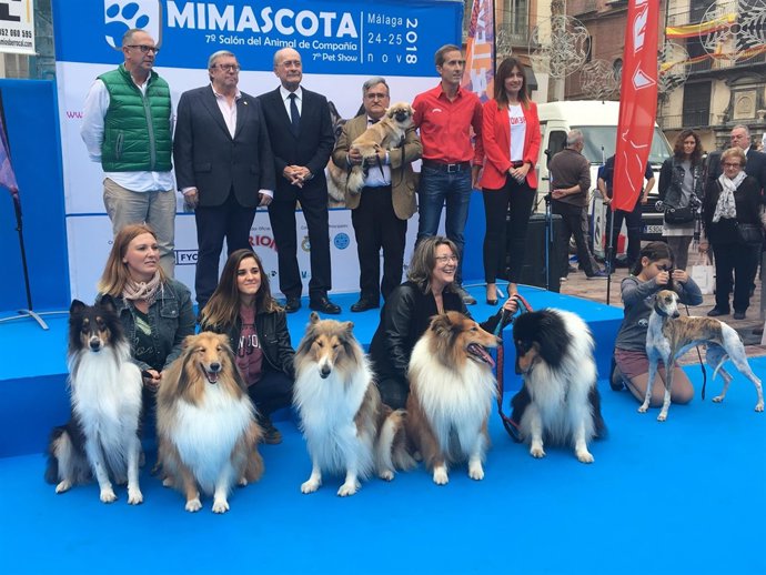 Pasarela perros mascotas fycma málaga