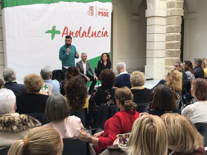 Encuentro de PSOE con el sector cultural de Cádiz