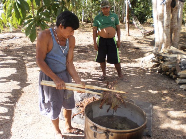 Locales de la zona cocinan Ayahuasca.