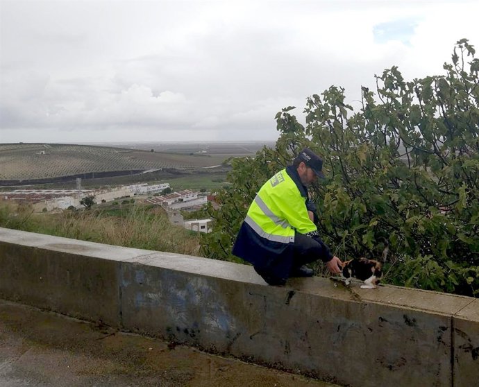Un policía de Utrera comprueba el estado de un gato que había sido maltratado