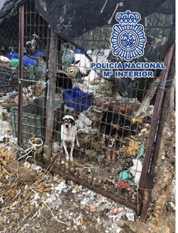 Vídeo de la noticia