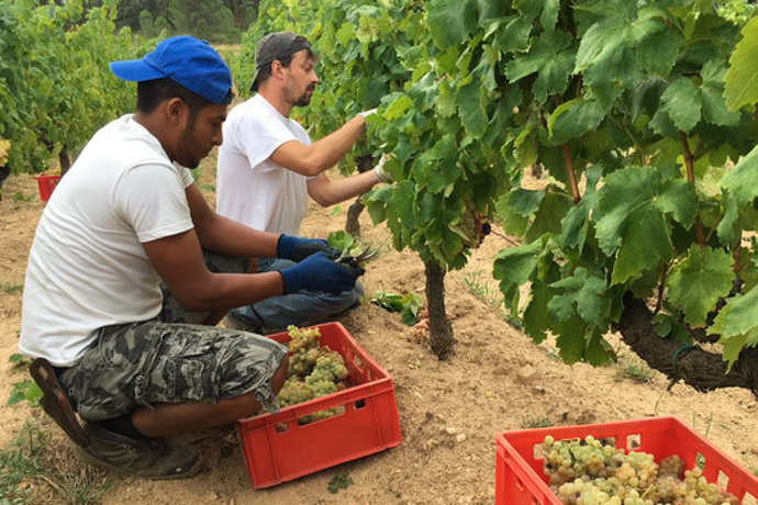 Agencia Catalana de Noticias