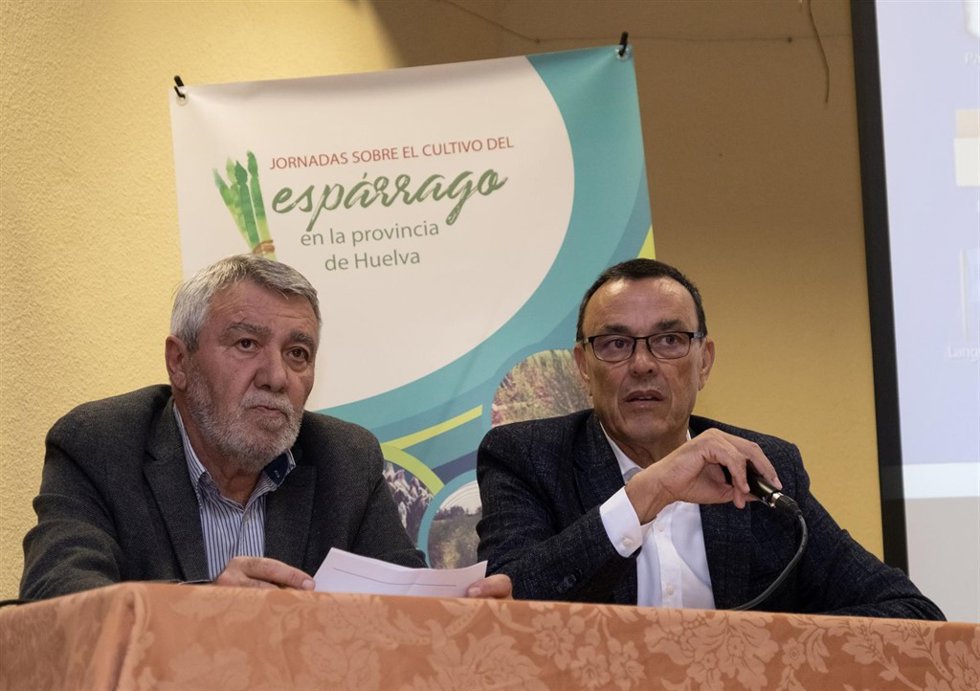 El presidente de la Diputación de Huelva, Ignacio Caraballo