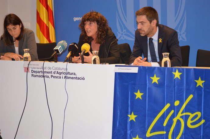 Neus Ferrete, Teresa Jordà y Ferran de Noguera