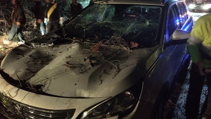 Efecto de la caída de un árbol sobre un coche en Jete (Granada)