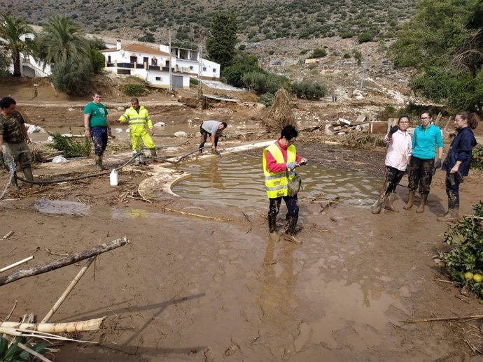 Tareas de limpieza de los daños provocado por las lluvias