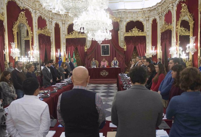 Pleno provincial de la Diputación de Cádiz