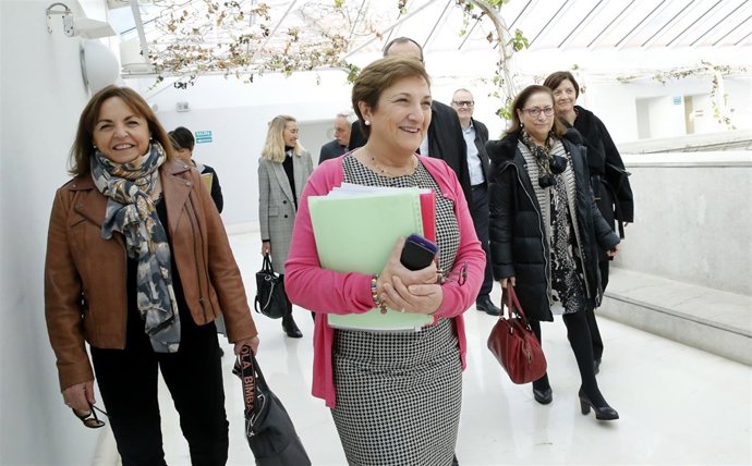 Parlamento De Cantabria  La Consejera De Sanidad, María Luisa Real, Comparece An
