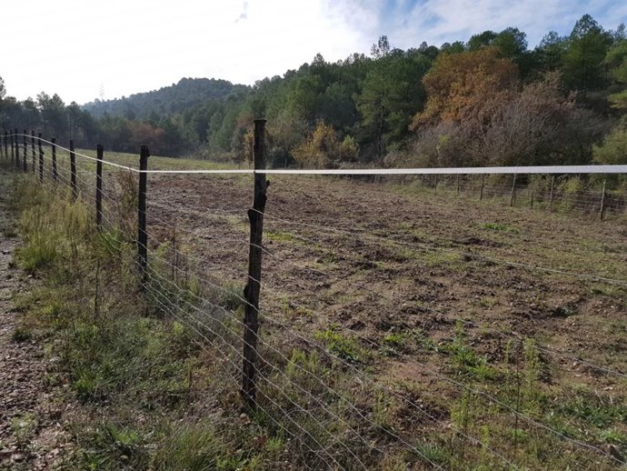 Tanca per impedir l'accés dels senglars