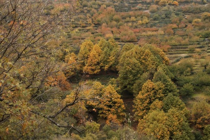 Valle del Jerte