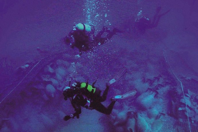 Excavación del pecio de Bou Ferrer