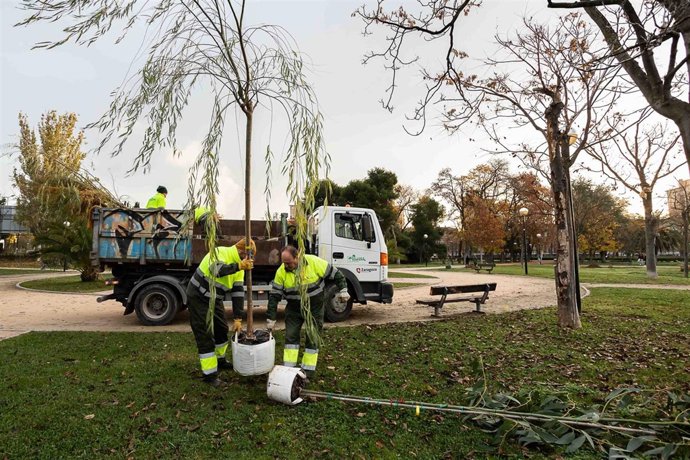 Plantación de árboles en el parque del Tío Jorge