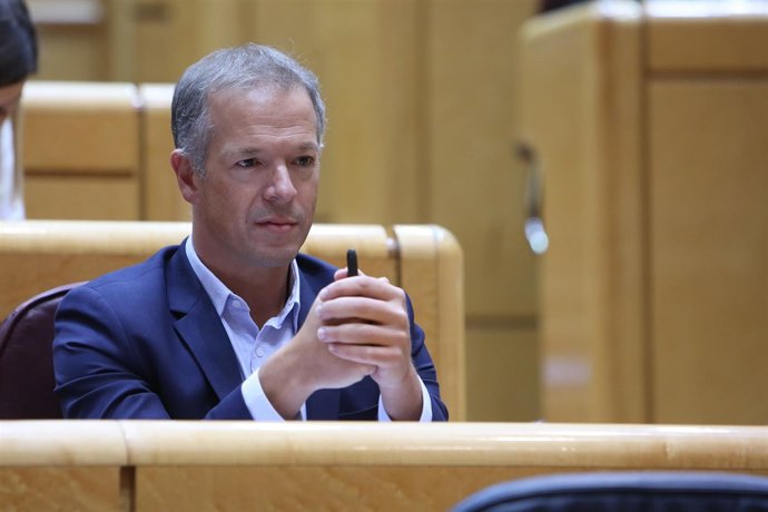 El portavoz del PSOE en el Senado, Ander Gil