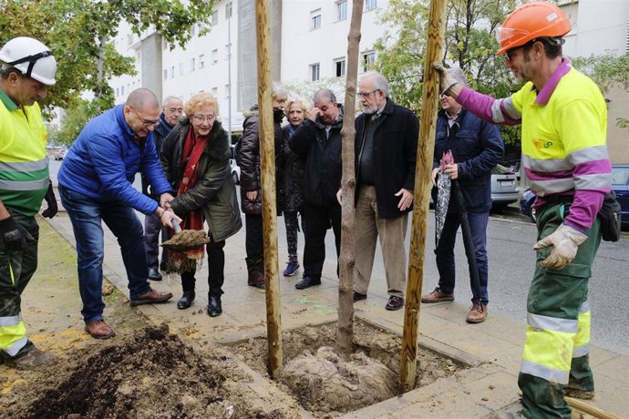Plantación de árboles en la avenida de Finlandia