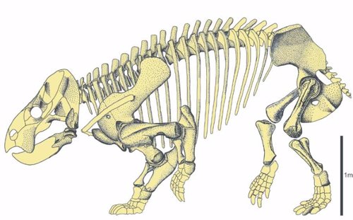 Reconstrucción del esqueleto de Lisowicia bojani
