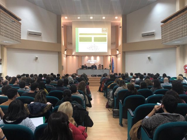 Jornadas formativas para nuevos docentes