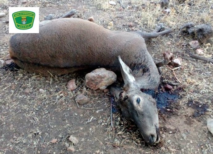 [Cáceres] Nota De Prensa " Actuación Conjunta Contra El Furtivismo En La Reserva