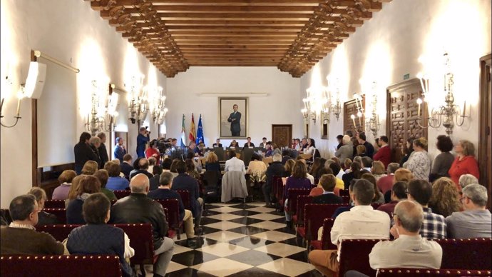 Pleno de la Diputación de Cáceres aprueba moción contra violencia de género
