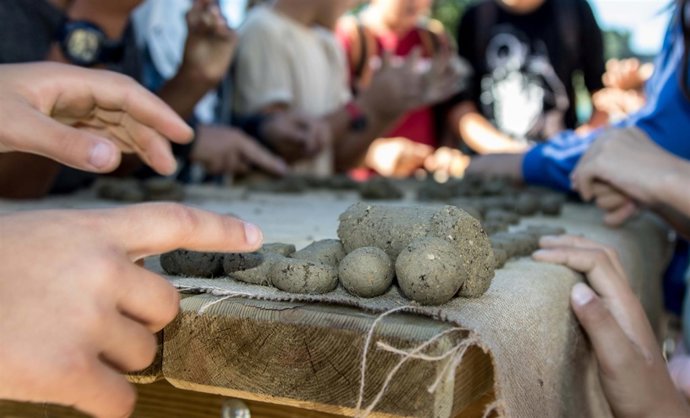 Bombas de semillas diputación de málaga bombardeo reforestar naturaleza ambiente