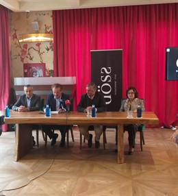 JAvier Carnero en rueda de prensa en MArbella