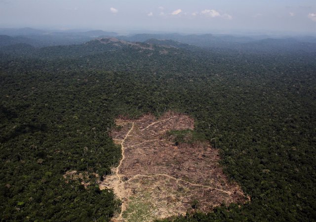 Deforestación en la Amazonia brasileña