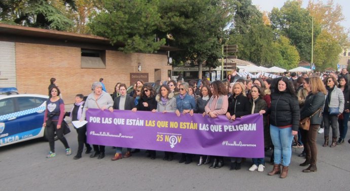 Manifestación Contra La Violencia Machista En Toledo