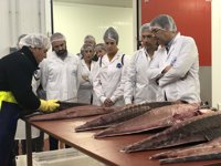 Mario Jiménez alerta de que PP, Cs y Podemos ya han acordado el "bloqueo" de Andalucía descartando apoyar al PSOE