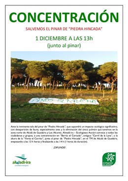 Cartel de la concentración