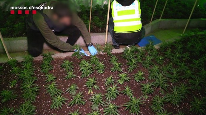 Cau una banda que va extorsionar durant tres anys un administrador financer