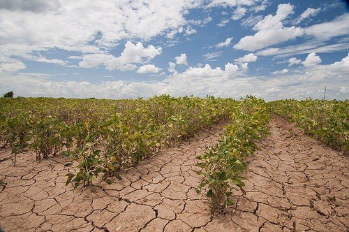 Sequía de 2013 en Texas