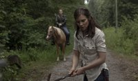 Comunicado oficial de The Walking Dead sobre el futuro de Lauren Cohan (Maggie)