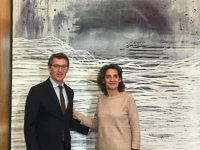 Feijóo, preocupado por que haya menos bloques en la puja de interrumpibilidad