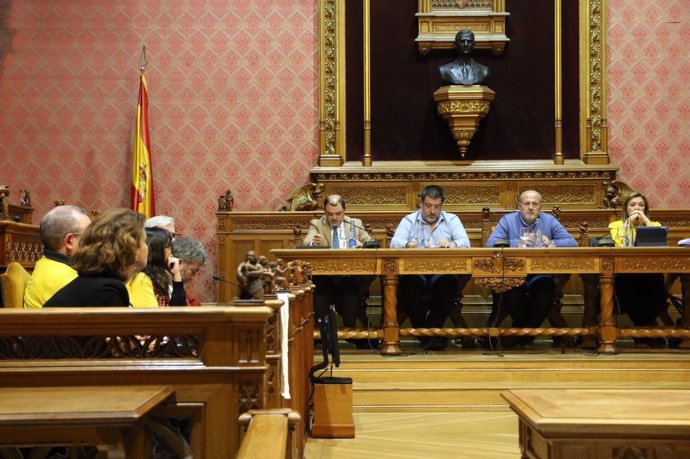 Audiencia Pública del Consell de Mallorca