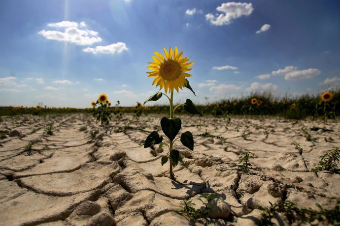 Signos de desertización en España