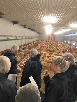 Participantes en el curso durante una visita a una granja