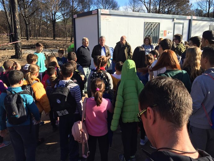 Escolares en una plantación forestal. 