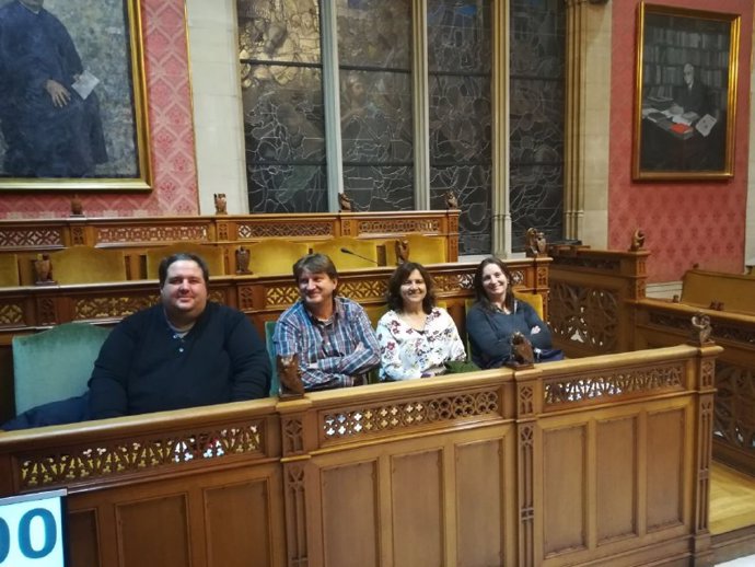 Segunda sesión de la Audiencia Pública del Consell de Mallorca