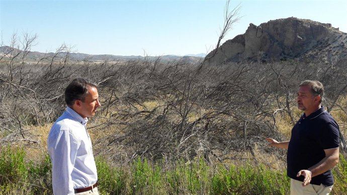 El alcalde de Lorca, Fulgencio Gil