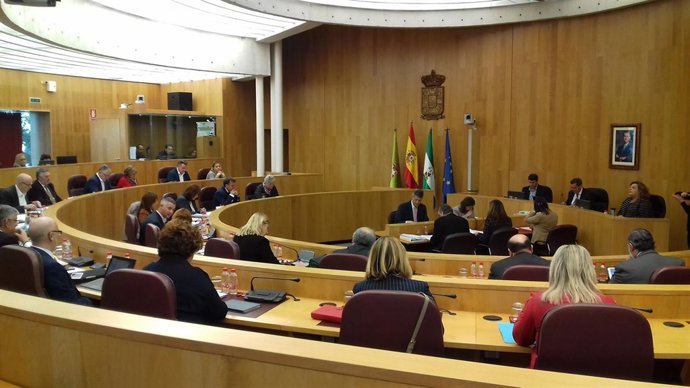 Pleno de la Diputación