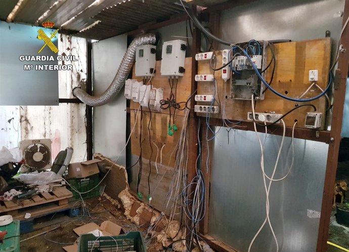 Guardia Civil desmantela un peligroso clan familiar dedicado al cultivo droga