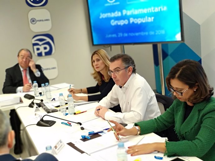 Beamonte ha presidido la reunión del Grupo Parlamentario del PP Aragón.