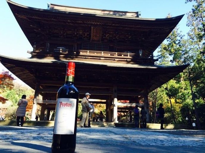 Bodegas Protos en China