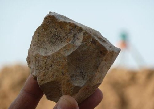 Herramienta de piedra referida en el estudio