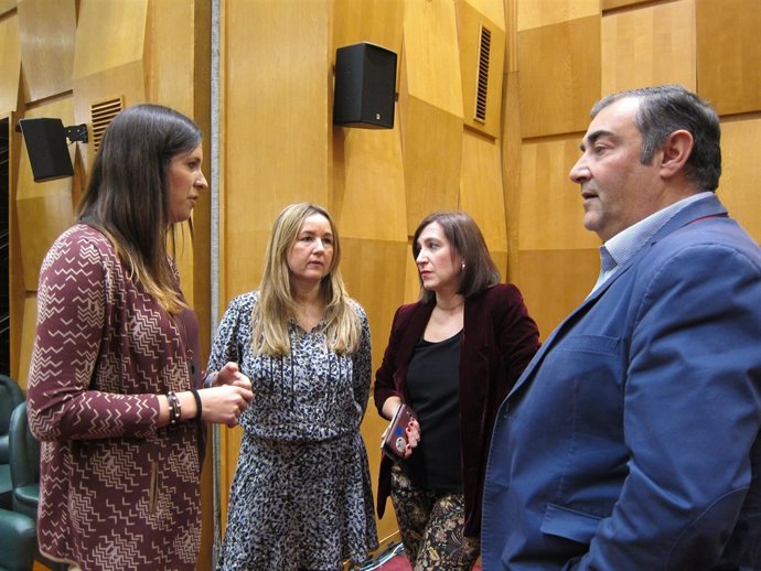 Concejales de Ciudadanos (Cs)