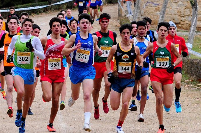 Cross de la Constitución de Aranda de Duero