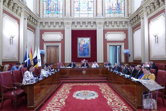 Pleno del Ayuntamiento de Santa Cruz