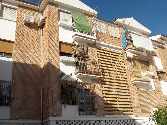 Viviendas en las que se intervendrá en Cabra