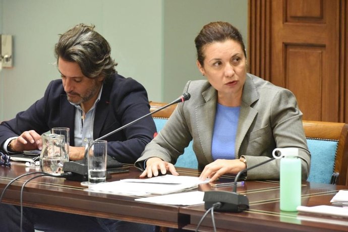 Ventura del Carmen Rodríguez (PSOE)